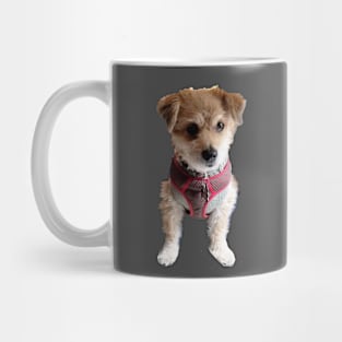 Teddy Mug